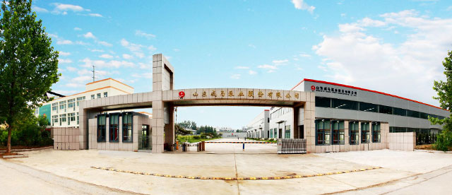 走進(jìn)威馬 移(yi)動端